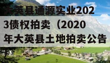 大英县通源实业2023债权拍卖（2020年大英县土地拍卖公告）