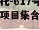 央企信托-617号浙江政信项目集合信托计划