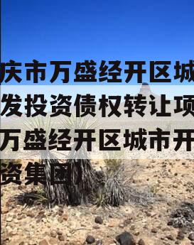 重庆市万盛经开区城市开发投资债权转让项目（万盛经开区城市开发投资集团）