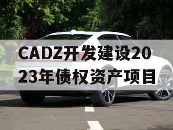 CADZ开发建设2023年债权资产项目