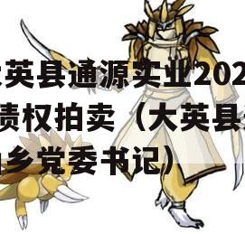 大英县通源实业2023债权拍卖（大英县通仙乡党委书记）