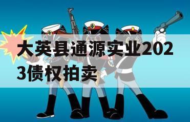 大英县通源实业2023债权拍卖