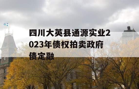 四川大英县通源实业2023年债权拍卖政府债定融