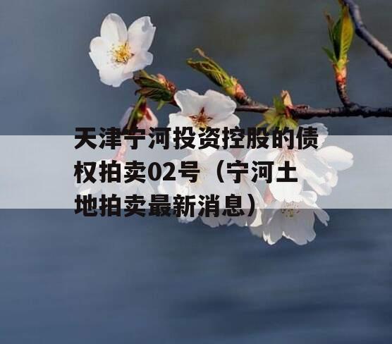 天津宁河投资控股的债权拍卖02号（宁河土地拍卖最新消息）