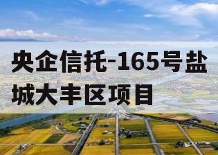 央企信托-165号盐城大丰区项目