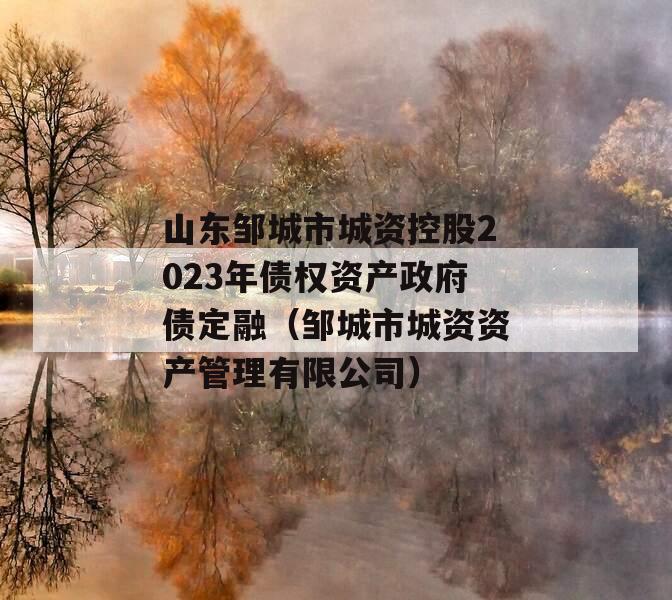 山东邹城市城资控股2023年债权资产政府债定融（邹城市城资资产管理有限公司）