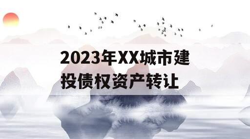 2023年XX城市建投债权资产转让