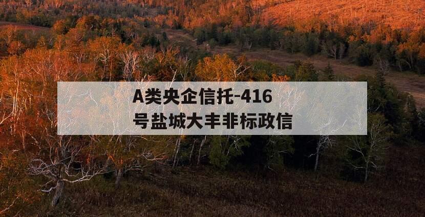 A类央企信托-416号盐城大丰非标政信