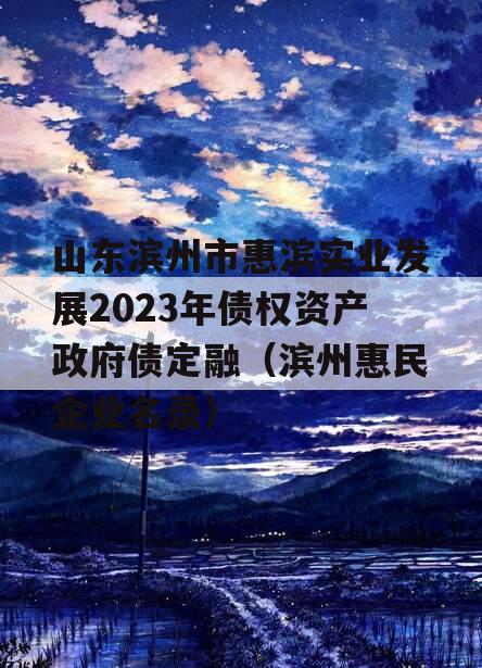 山东滨州市惠滨实业发展2023年债权资产政府债定融（滨州惠民企业名录）