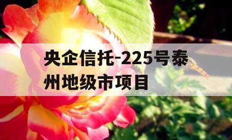 央企信托-225号泰州地级市项目