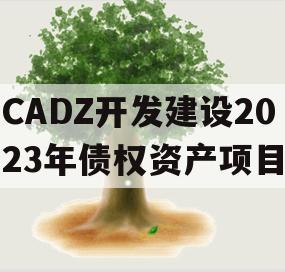 CADZ开发建设2023年债权资产项目