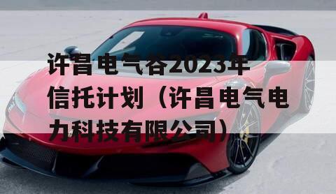 许昌电气谷2023年信托计划（许昌电气电力科技有限公司）