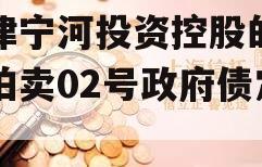 天津宁河投资控股的债权拍卖02号政府债定融