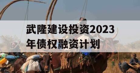 武隆建设投资2023年债权融资计划