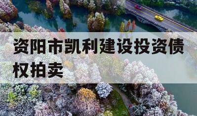 资阳市凯利建设投资债权拍卖