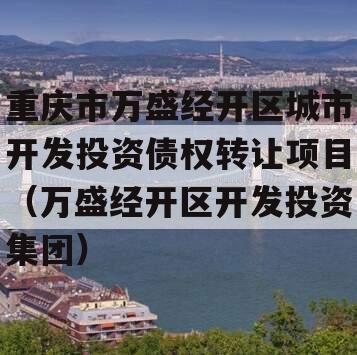 重庆市万盛经开区城市开发投资债权转让项目（万盛经开区开发投资集团）