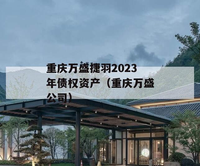 重庆万盛捷羽2023年债权资产（重庆万盛公司）