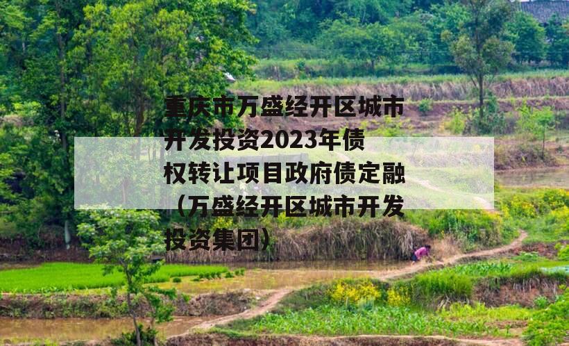 重庆市万盛经开区城市开发投资2023年债权转让项目政府债定融（万盛经开区城市开发投资集团）