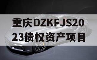 重庆DZKFJS2023债权资产项目