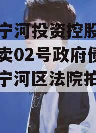 天津宁河投资控股的债权拍卖02号政府债定融（宁河区法院拍卖公告）