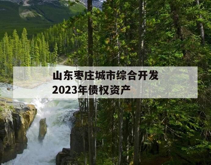 山东枣庄城市综合开发2023年债权资产