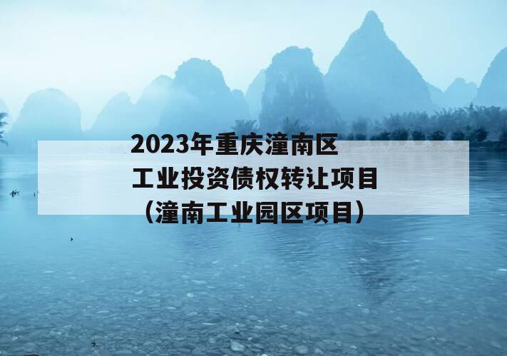 2023年重庆潼南区工业投资债权转让项目（潼南工业园区项目）