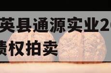 大英县通源实业2023债权拍卖