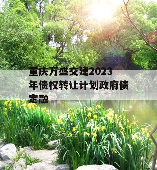 重庆万盛交建2023年债权转让计划政府债定融