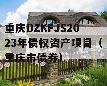 重庆DZKFJS2023年债权资产项目（重庆市债券）