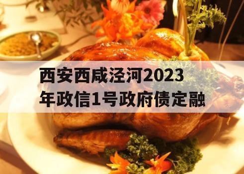 西安西咸泾河2023年政信1号政府债定融