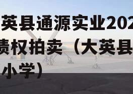 大英县通源实业2023债权拍卖（大英县通仙小学）