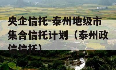 央企信托-泰州地级市集合信托计划（泰州政信信托）