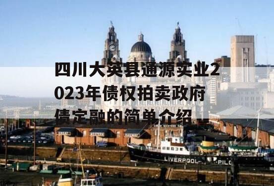 四川大英县通源实业2023年债权拍卖政府债定融的简单介绍