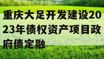 重庆大足开发建设2023年债权资产项目政府债定融