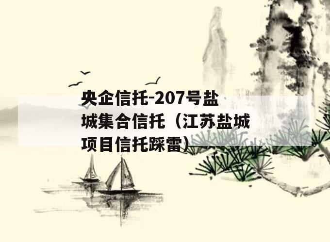 央企信托-207号盐城集合信托（江苏盐城项目信托踩雷）