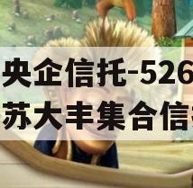 大央企信托-526号江苏大丰集合信托