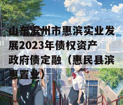 山东滨州市惠滨实业发展2023年债权资产政府债定融（惠民县滨惠置业）