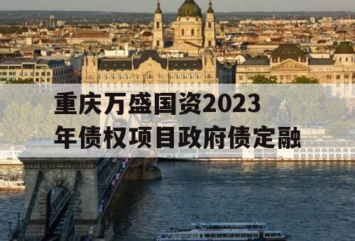 重庆万盛国资2023年债权项目政府债定融