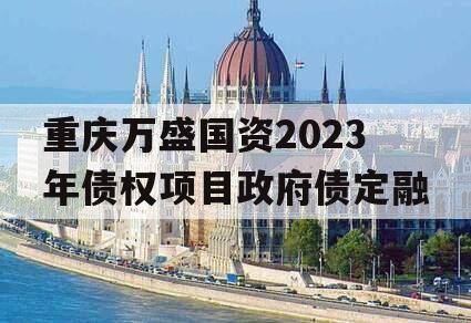 重庆万盛国资2023年债权项目政府债定融