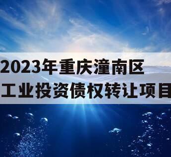 2023年重庆潼南区工业投资债权转让项目