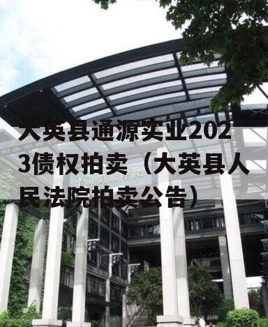 大英县通源实业2023债权拍卖（大英县人民法院拍卖公告）