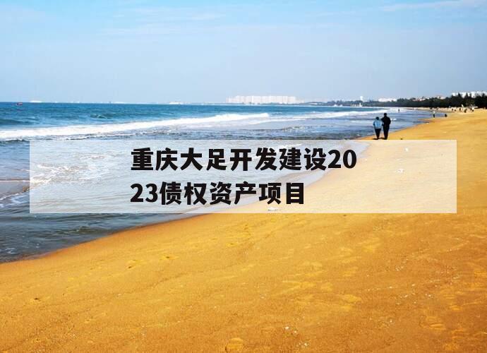 重庆大足开发建设2023债权资产项目