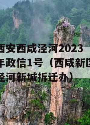 西安西咸泾河2023年政信1号（西咸新区泾河新城拆迁办）