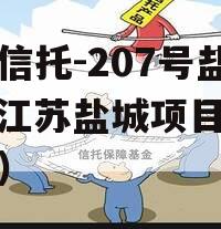 央企信托-207号盐城（江苏盐城项目信托踩雷）