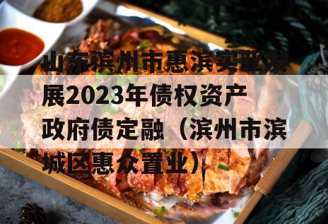 山东滨州市惠滨实业发展2023年债权资产政府债定融（滨州市滨城区惠众置业）