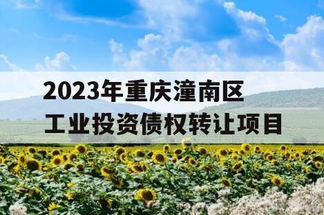 2023年重庆潼南区工业投资债权转让项目