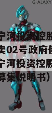 天津宁河投资控股的债权拍卖02号政府债定融（宁河投资控股有限公司募集说明书）