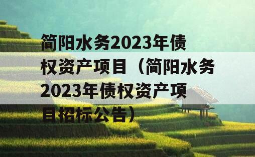 简阳水务2023年债权资产项目（简阳水务2023年债权资产项目招标公告）