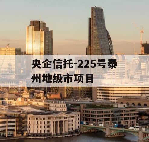 央企信托-225号泰州地级市项目