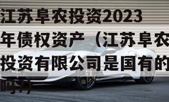 江苏阜农投资2023年债权资产（江苏阜农投资有限公司是国有的吗?）